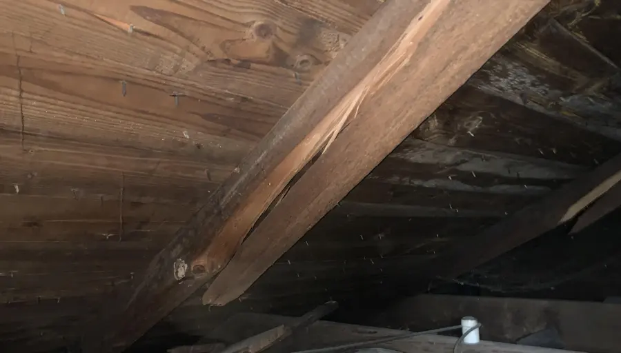 Water-stained roof boards and rafters inside an attic, roof leak water damage in Concord, NH