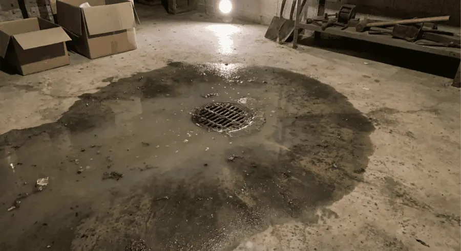 Dark wet staining spreading around a basement floor drain, sewage backup cleanup in Concord, NH