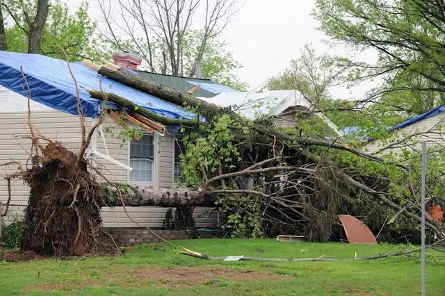 A blue tarp over a storm-damaged roof beside an uprooted tree, storm water damage in Concord, NH